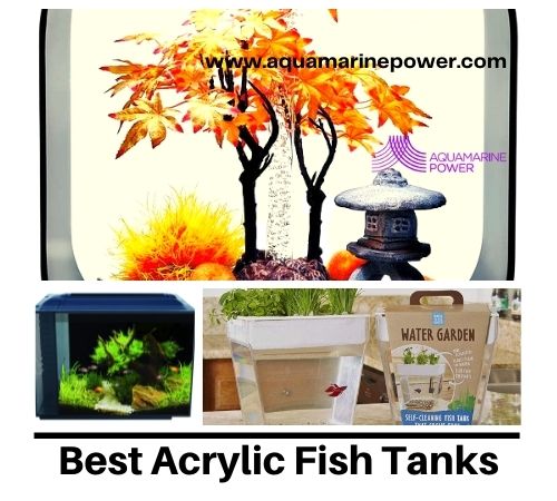 Buy The Best Durable Acrylic Fish Tanks (February 2024)