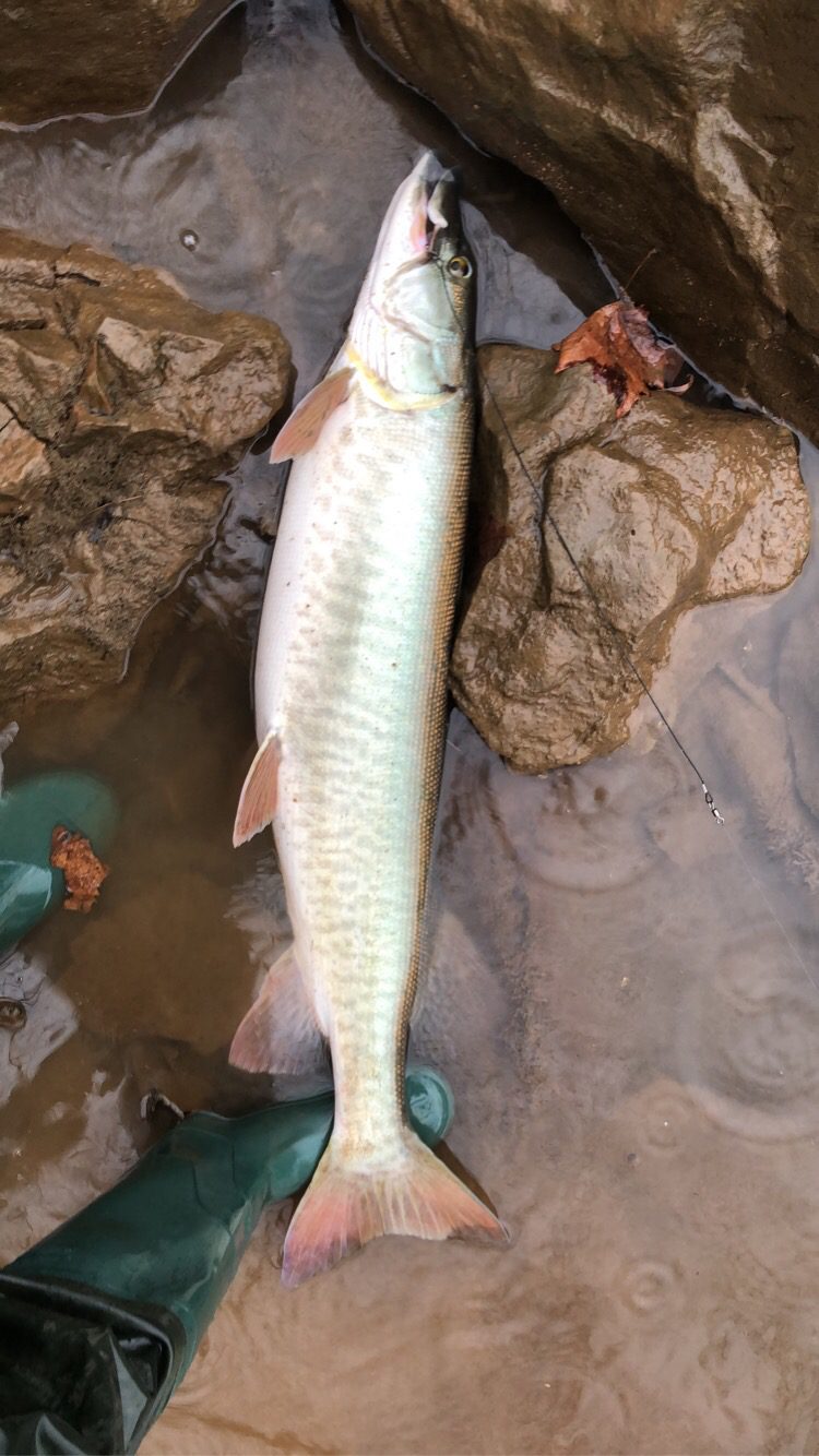 B00019N0PW Customer Photo 1