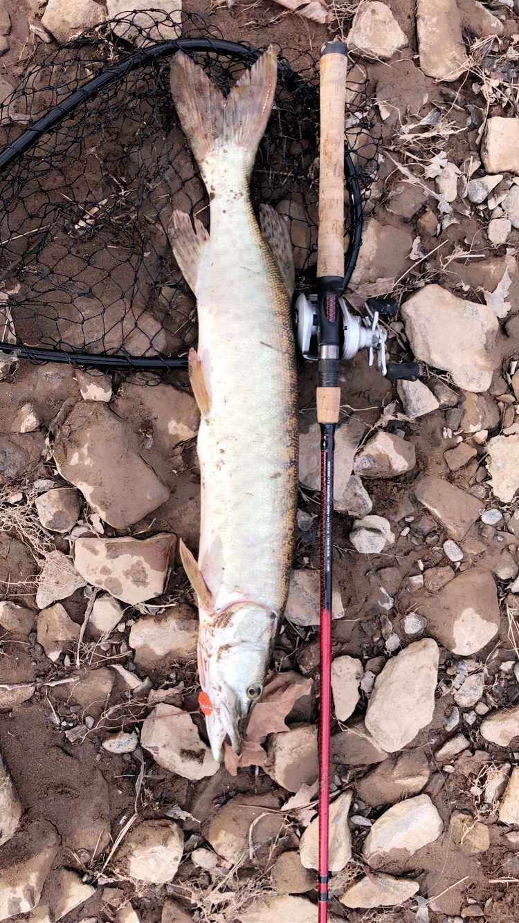 B00019N0PW Customer Photo 2