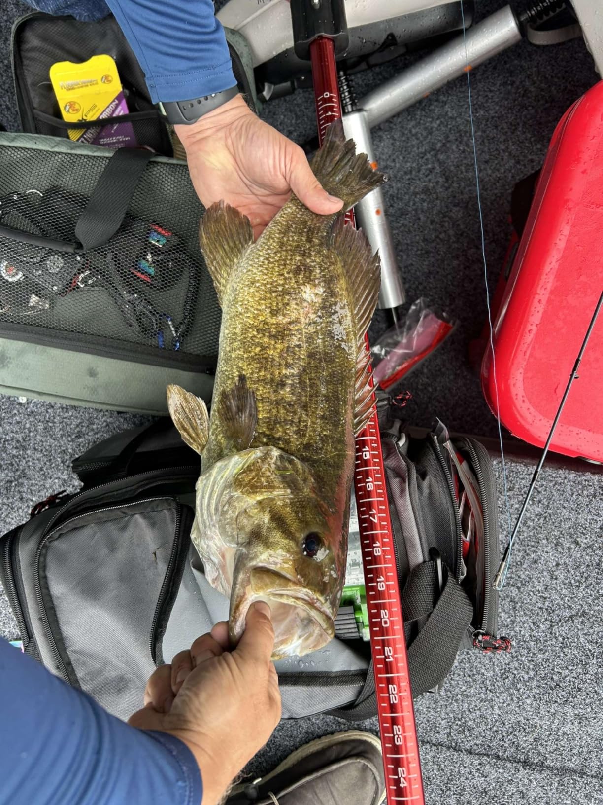 B000EZ0C7C Customer Photo 1