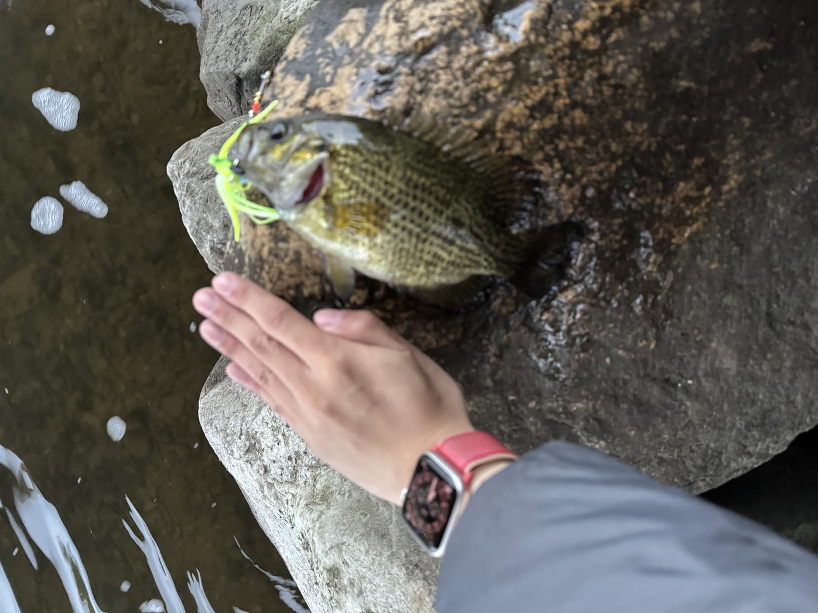 B000EZ0C7C Customer Photo 2