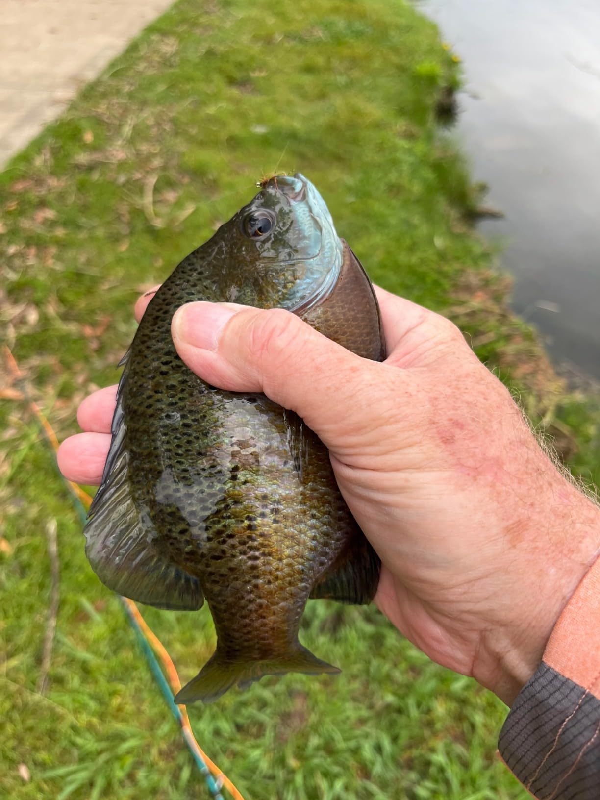 B0012OSVM2 Customer Photo 3