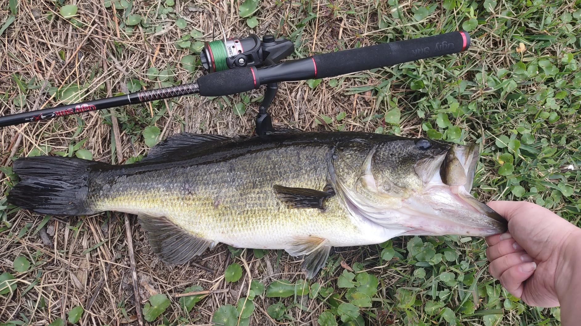 Berkley Johnson Silver Minnow Silver 2 3/4in - 3/4 oz - Customer Photo 1