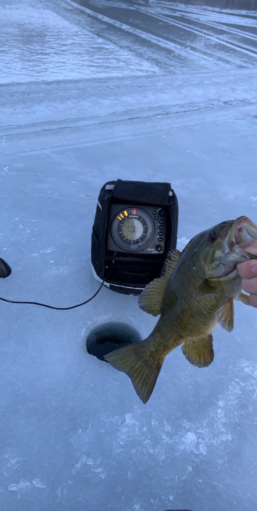 Humminbird ICE 55 Flasher - Customer Review Photo