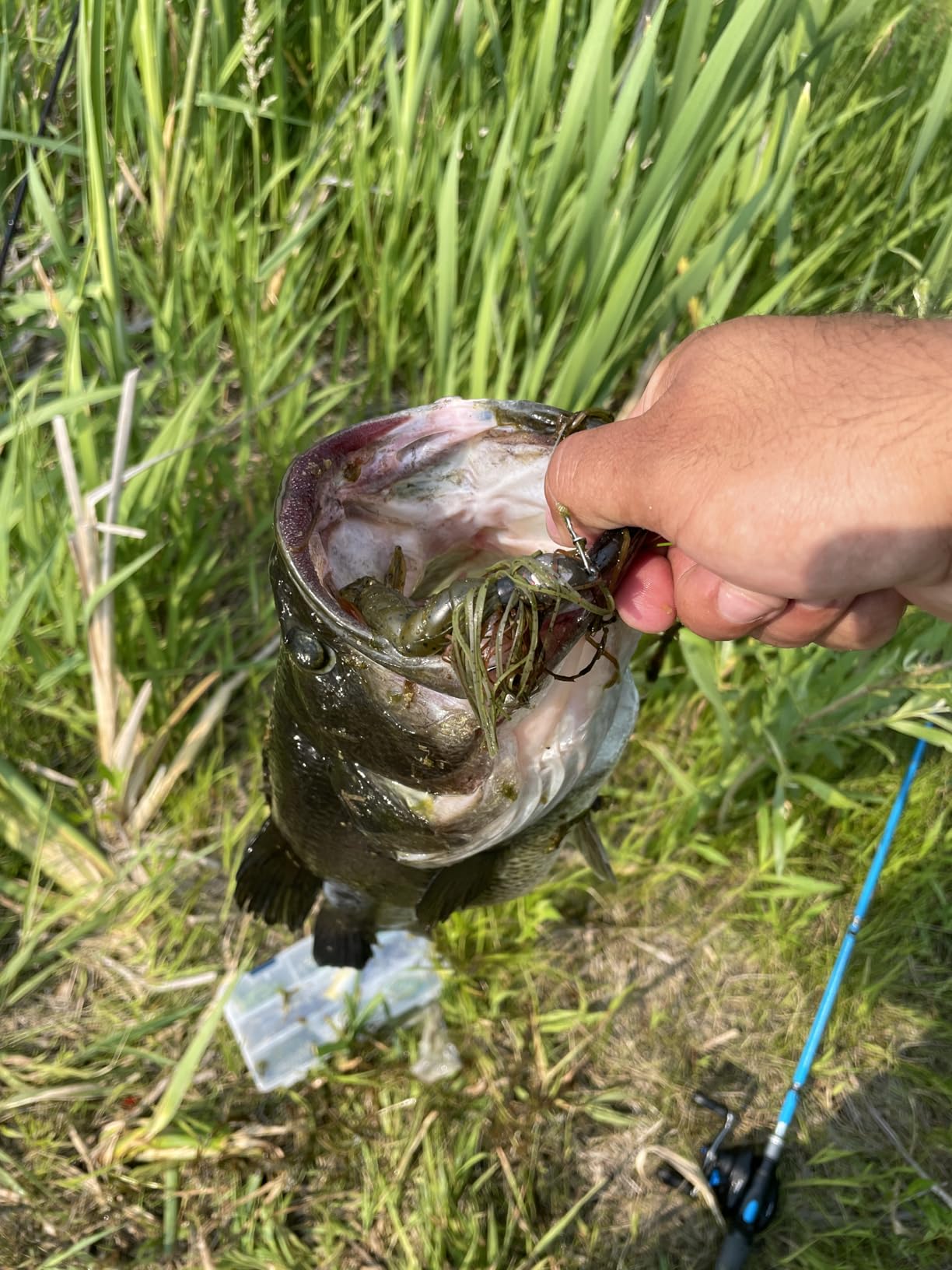 B001LK6AG6 Customer Photo 1