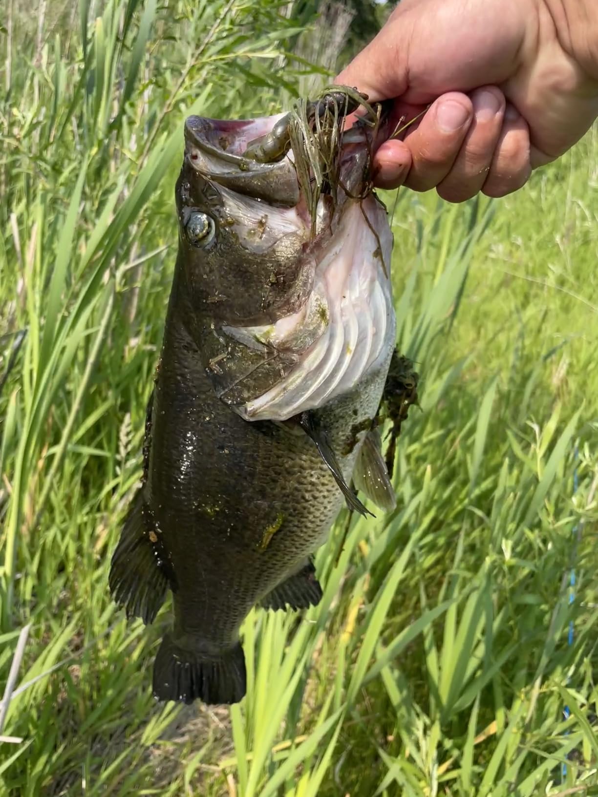 B001LK6AG6 Customer Photo 2