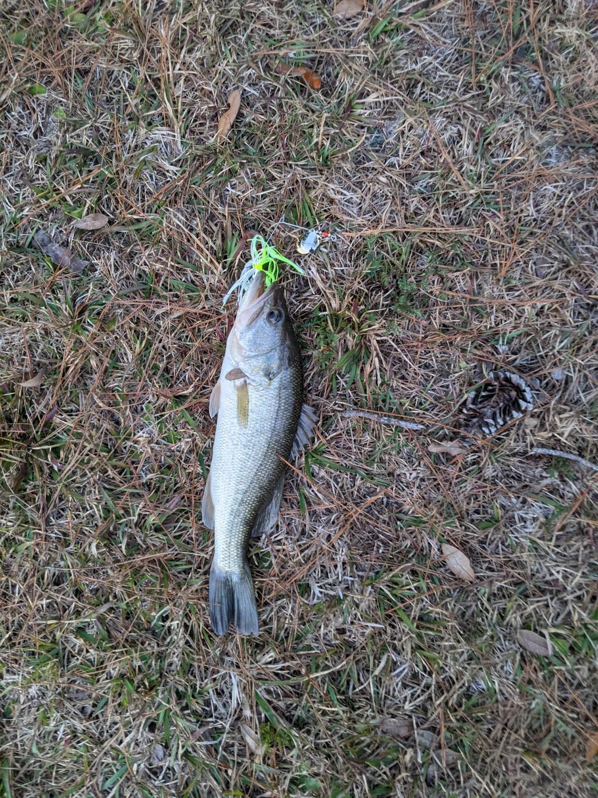 B002QFU3A4 Customer Photo 2