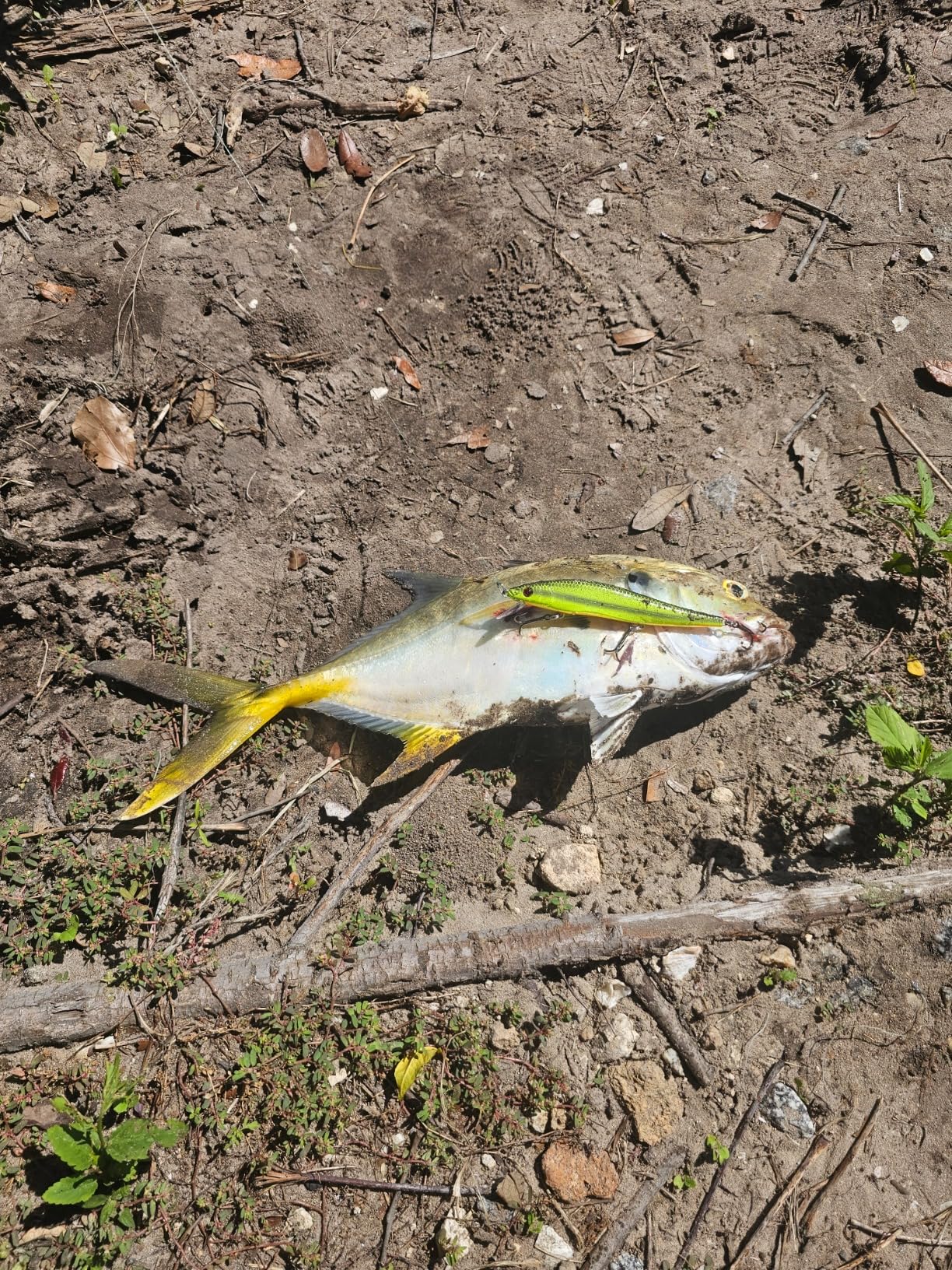 B003G813QI Customer Photo 1