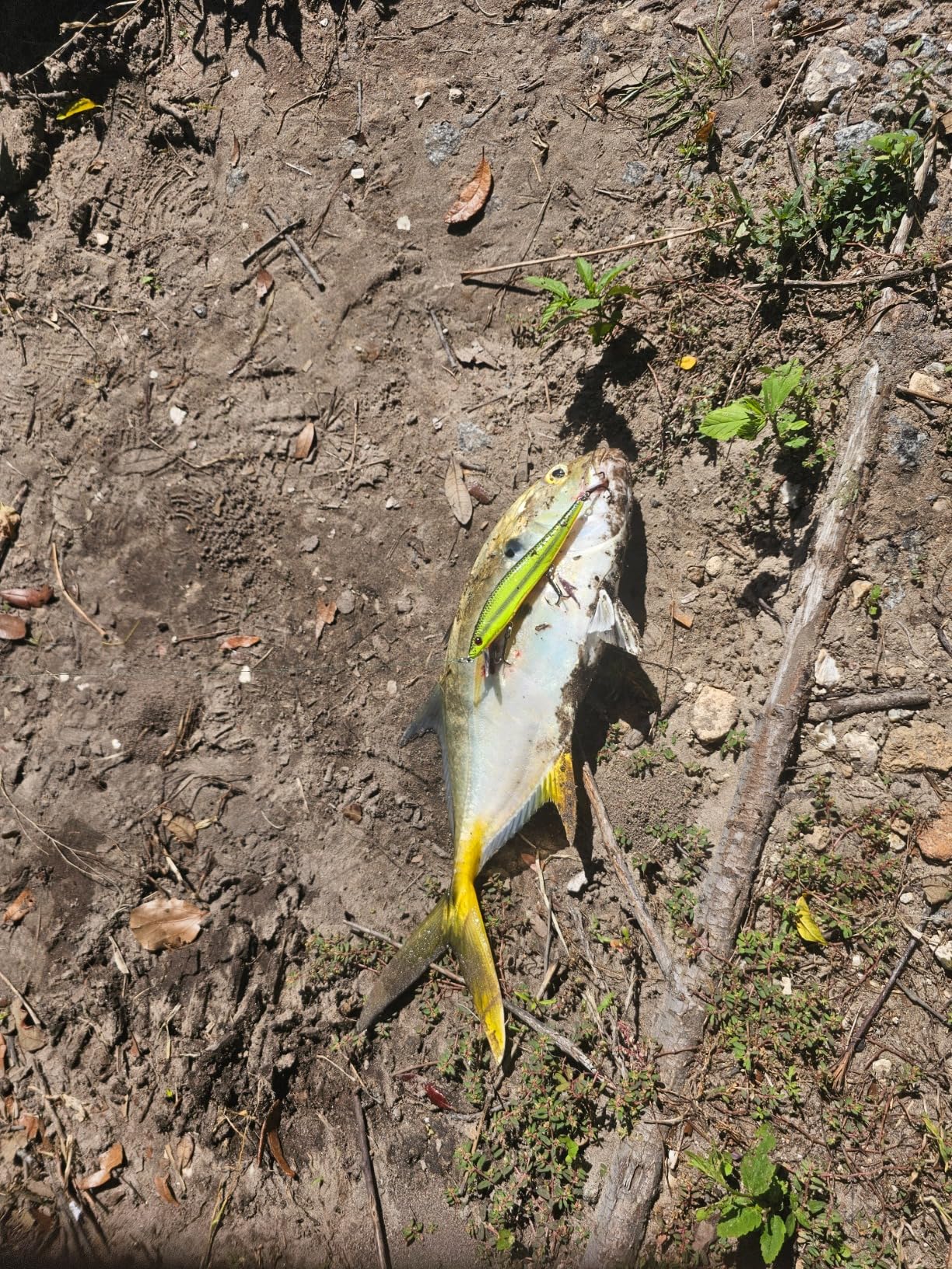 B003G813QI Customer Photo 2