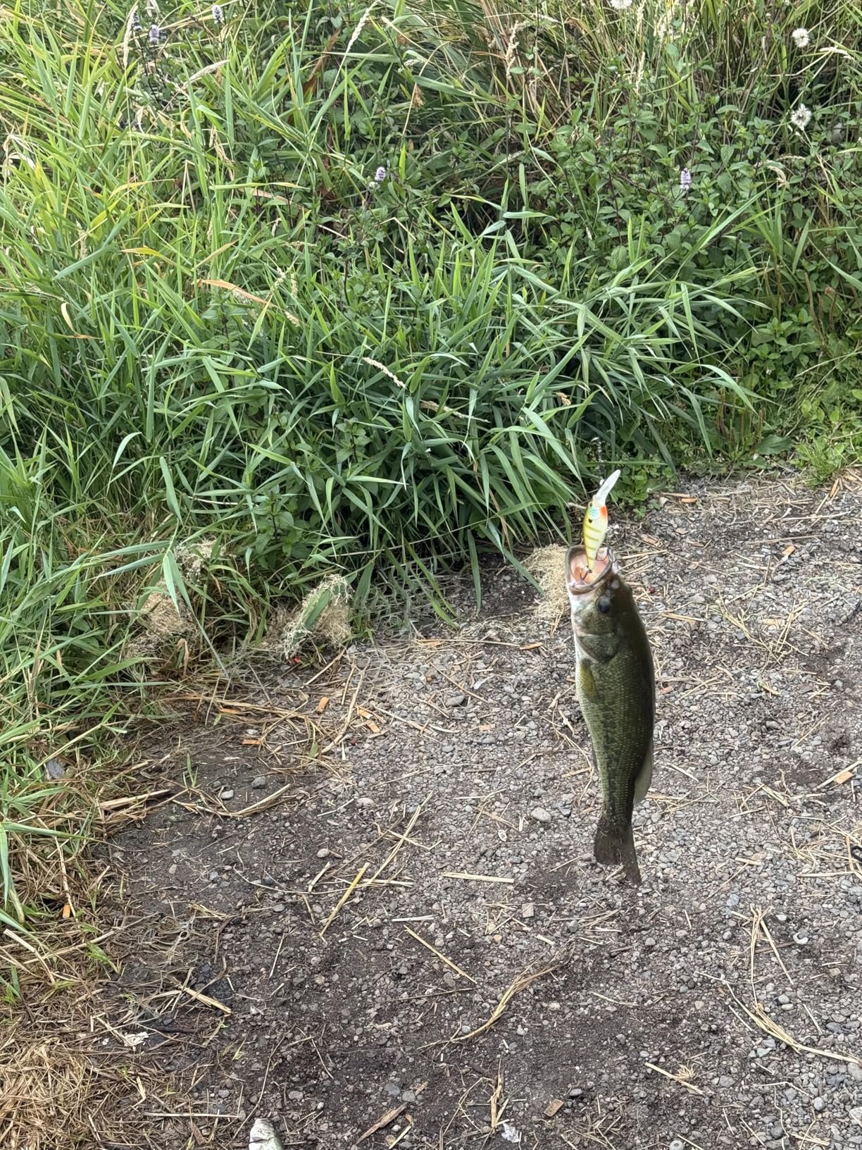 B003O53B9U Customer Photo 1