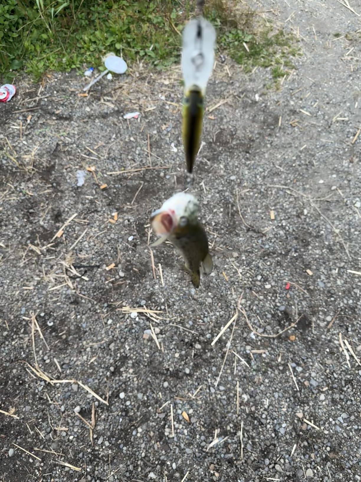 B003O53B9U Customer Photo 2