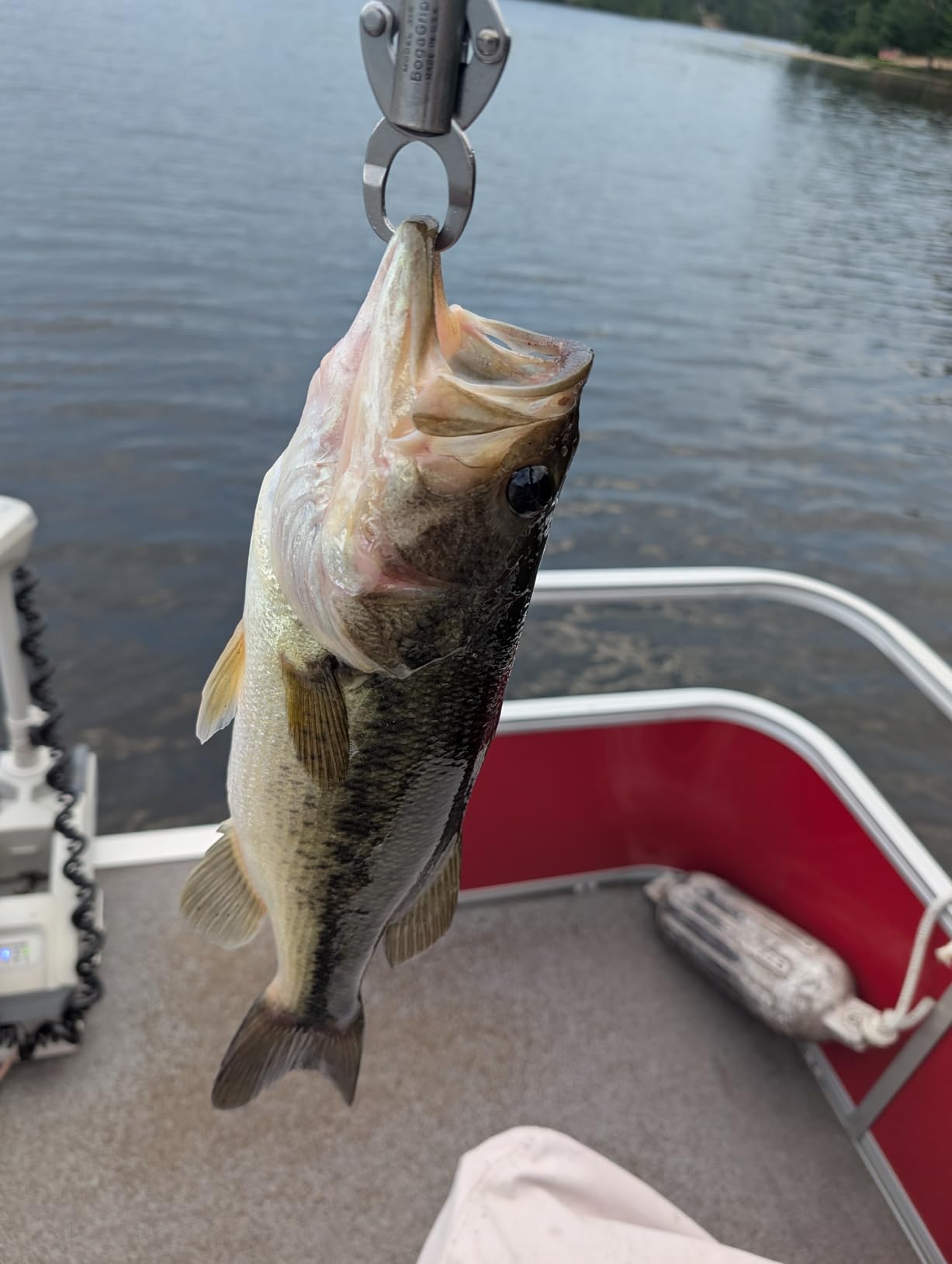 Booyah Boo Jig Bass Fishing Lure with Weed Guard - Customer Photo 1