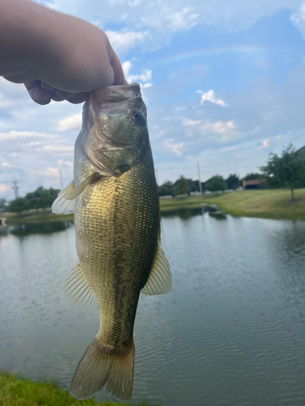 B003ZZD18A Customer Photo 1