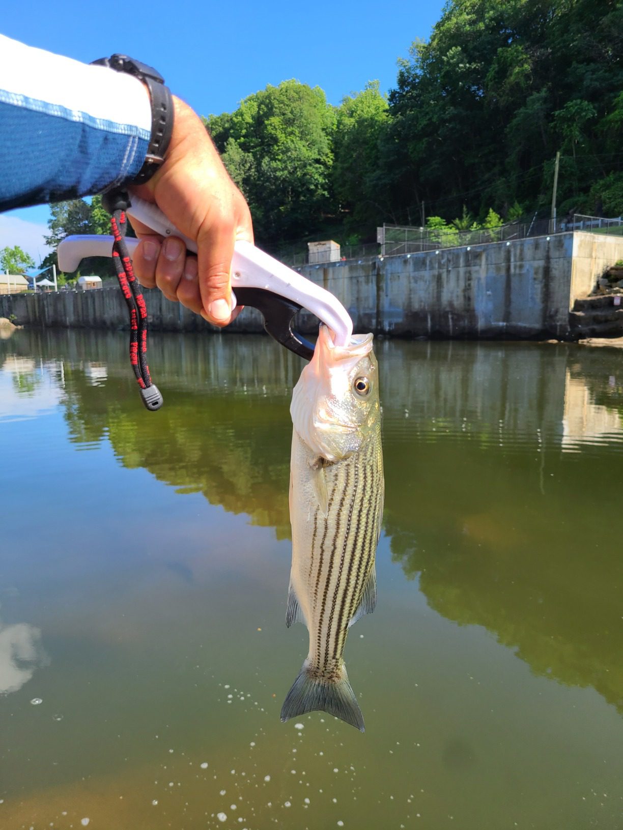 B00689RTGU Customer Photo 1