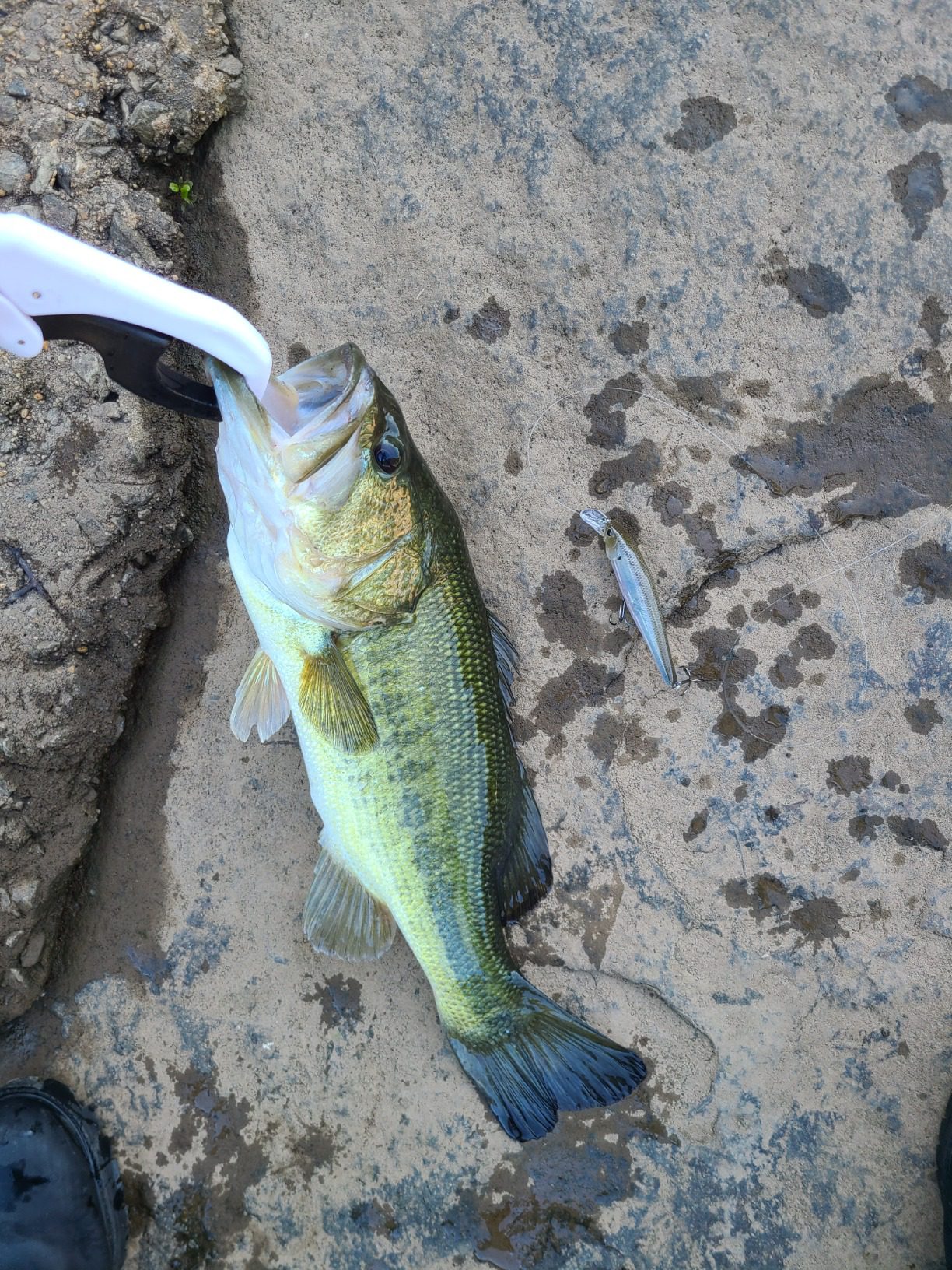 B00689RTGU Customer Photo 2