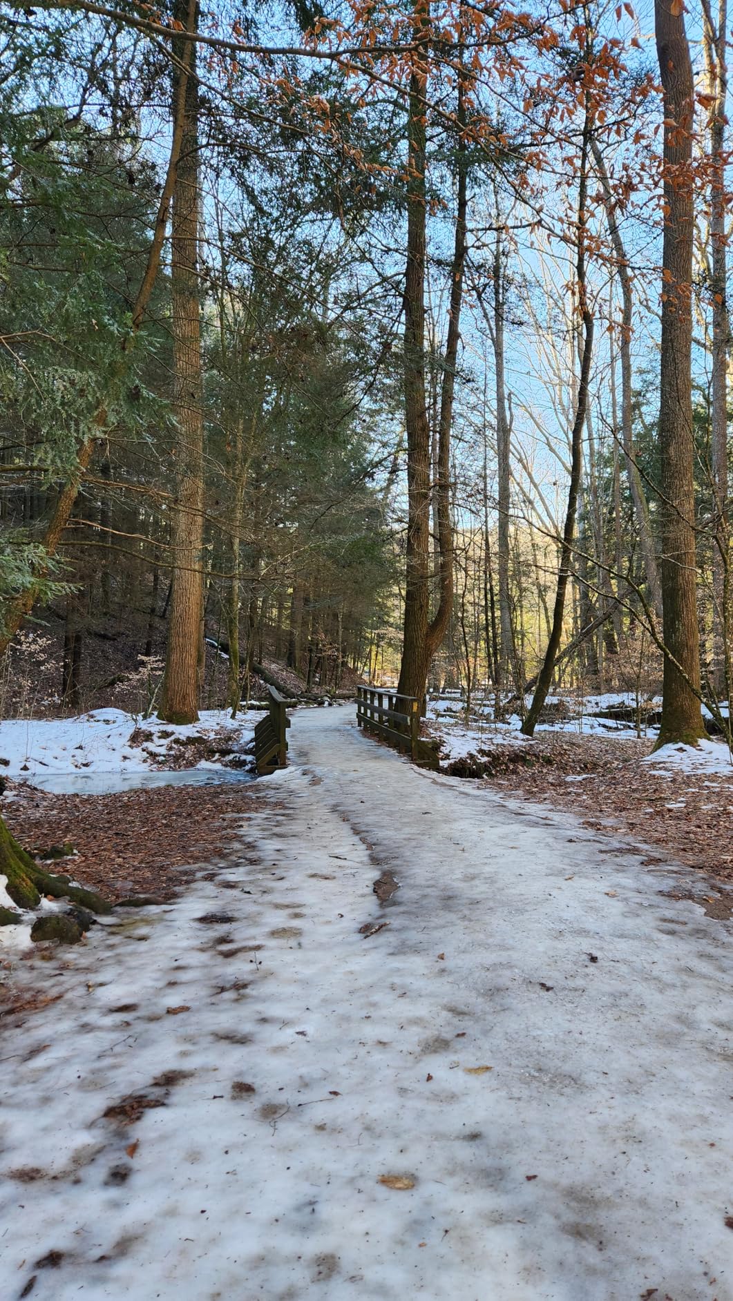 B0094GO9DA Customer Photo 1