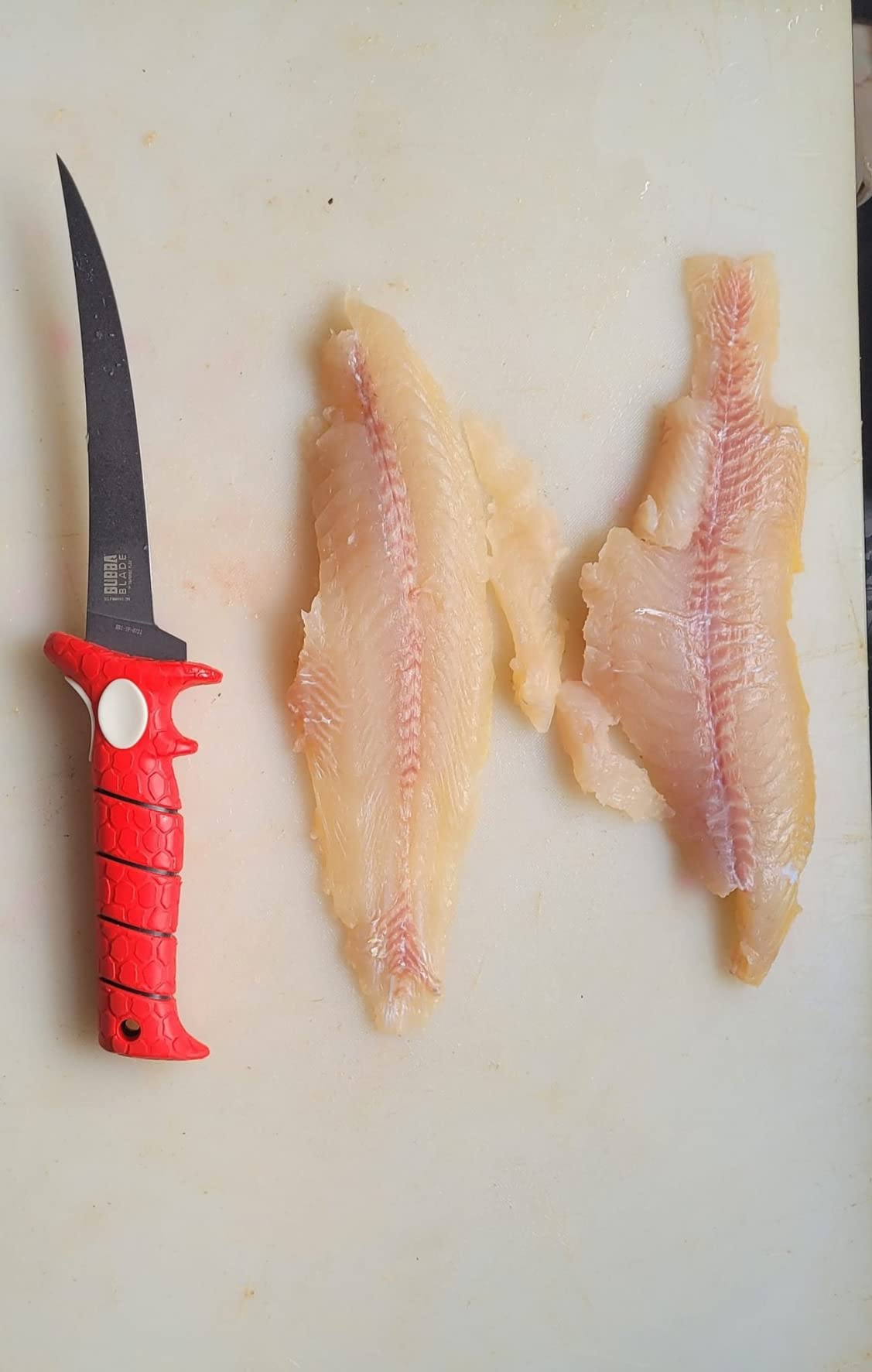 B00987L3O8 Customer Photo 1