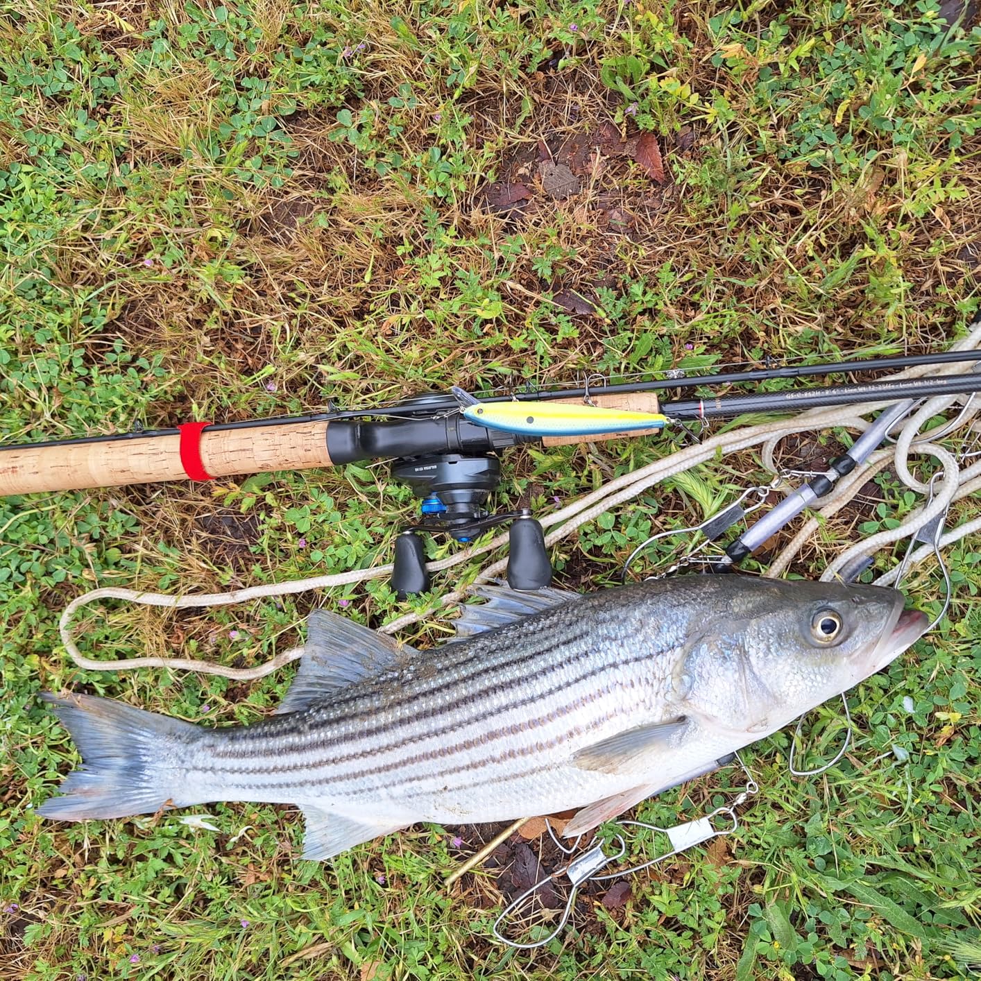 B009F7IDX0 Customer Photo 2