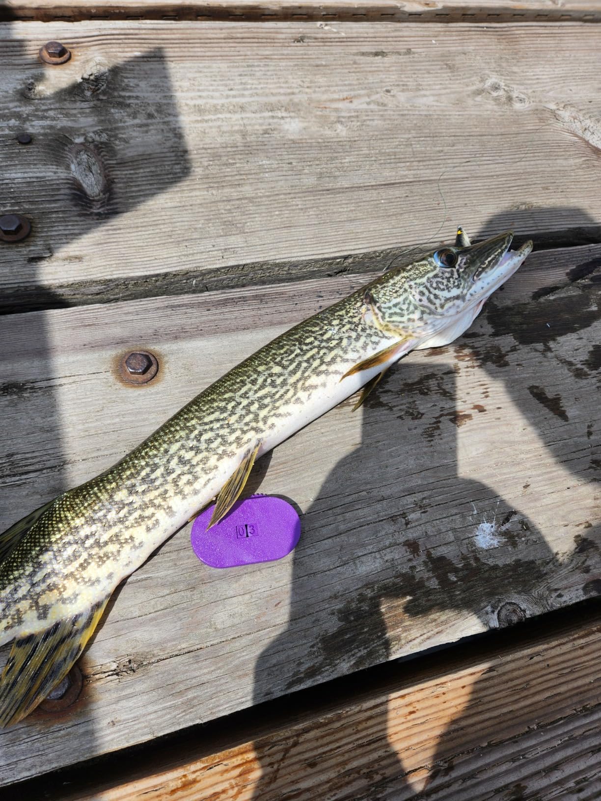 B00BPF4V6I Customer Photo 2