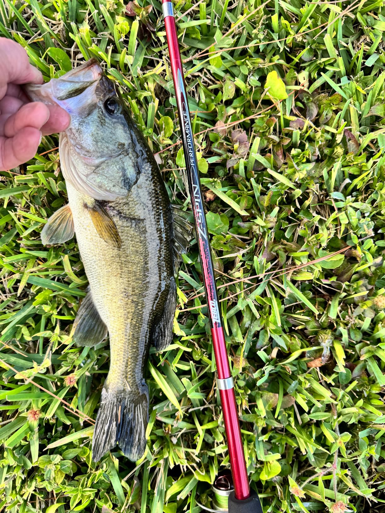 B00BPF4WIA Customer Photo 2