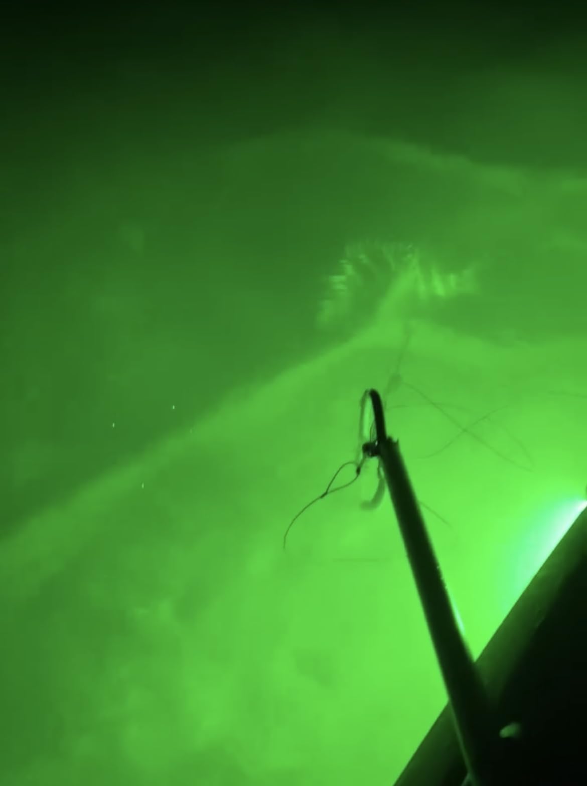 B00D2OWV1C Customer Photo 1