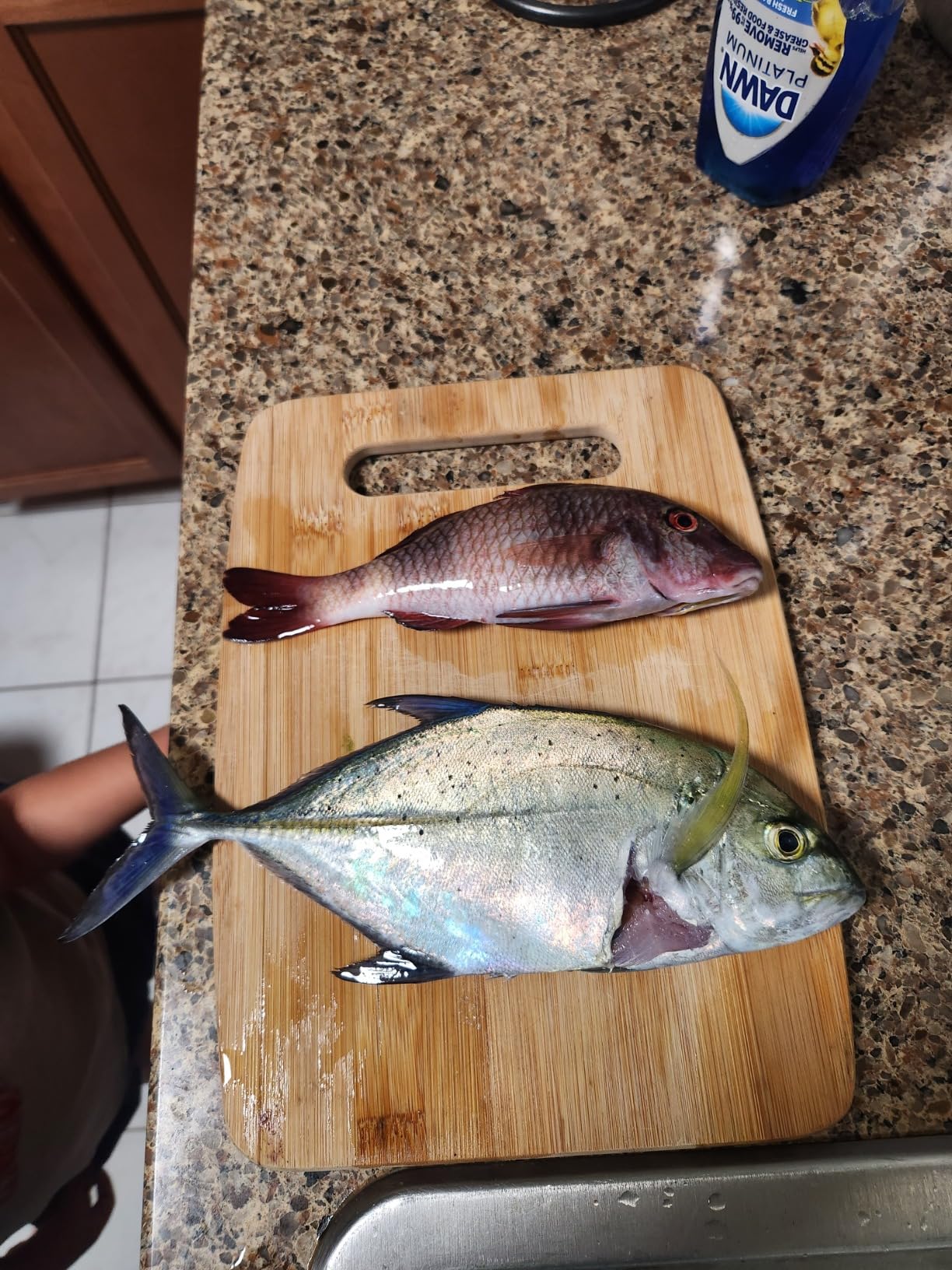 B00D2OWV1C Customer Photo 2