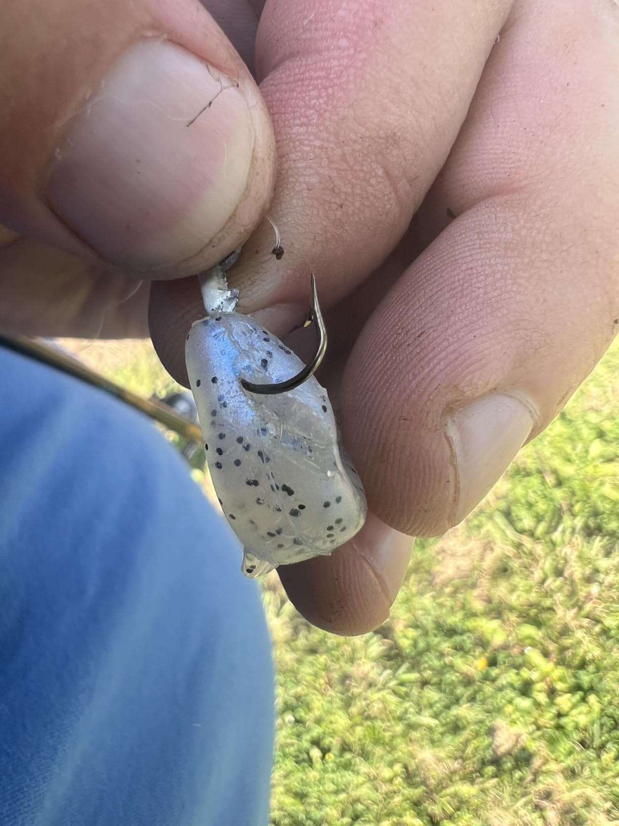 B00DBEN392 Customer Photo 2