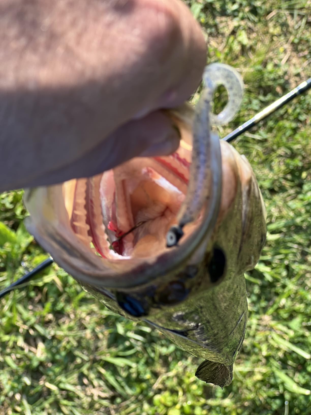 B00DBEN392 Customer Photo 3