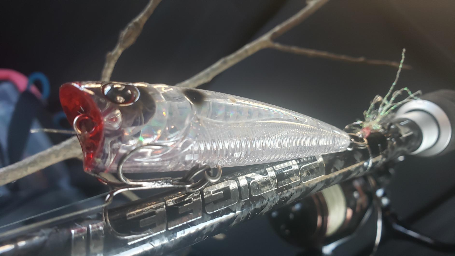 B00GGJVNPA Customer Photo 2