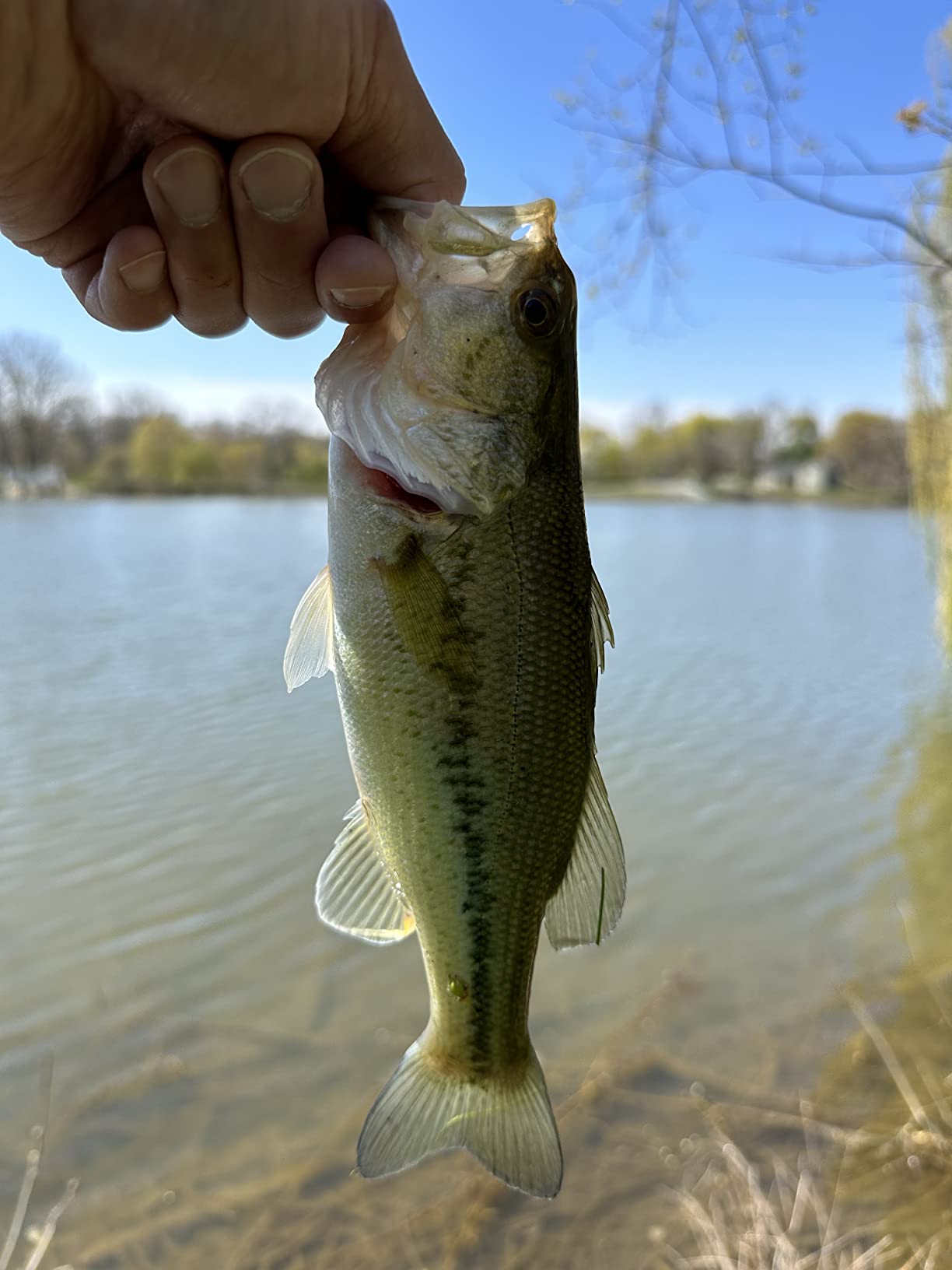 B00HII9076 Customer Photo 1