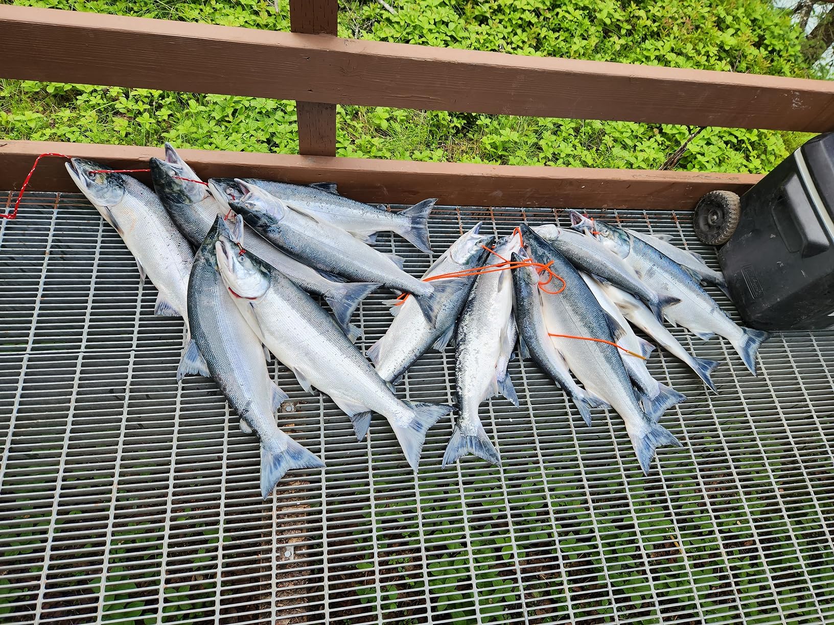 B00KSFB64G Customer Photo 1