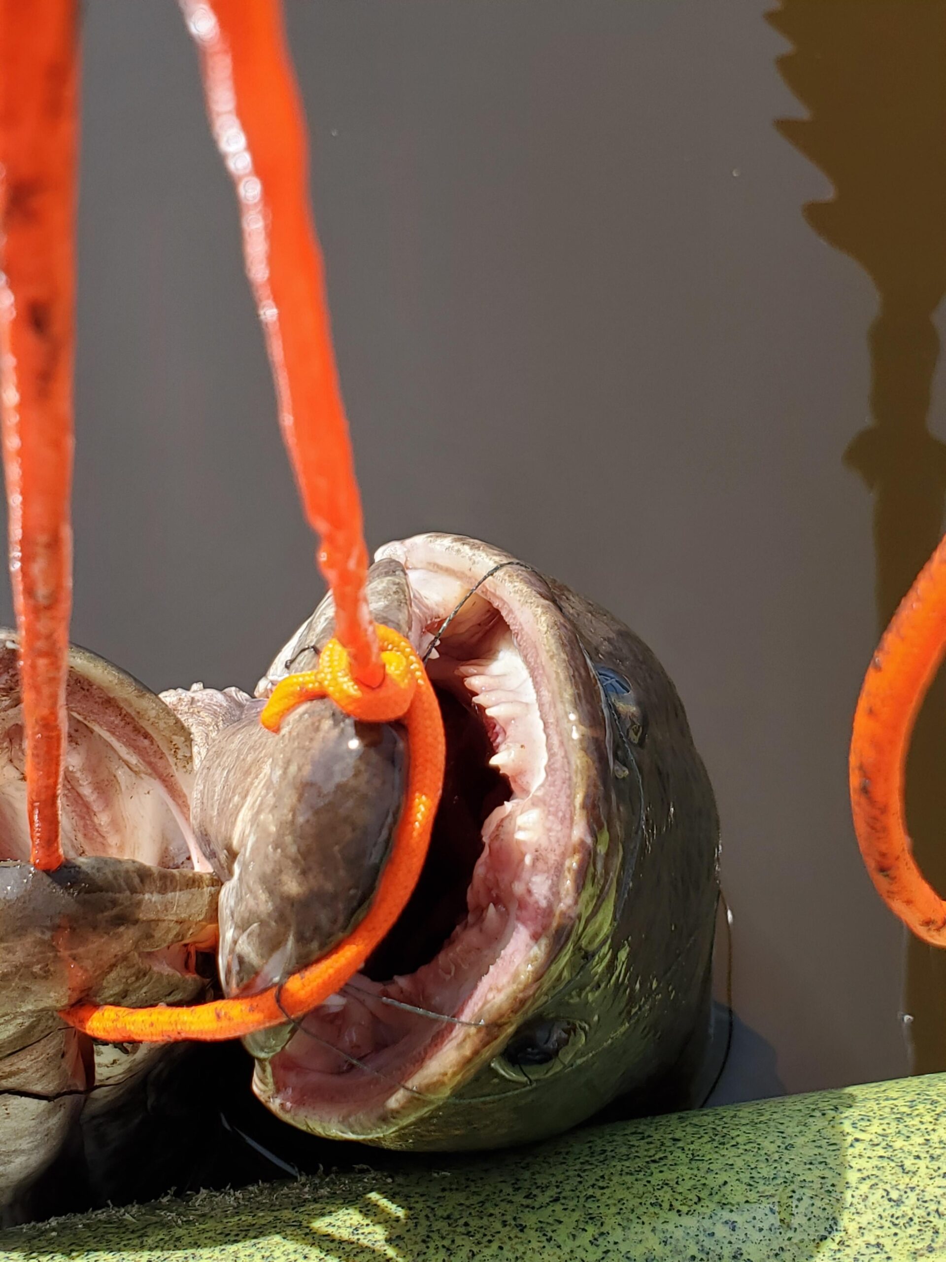 B00KSFB64G Customer Photo 2