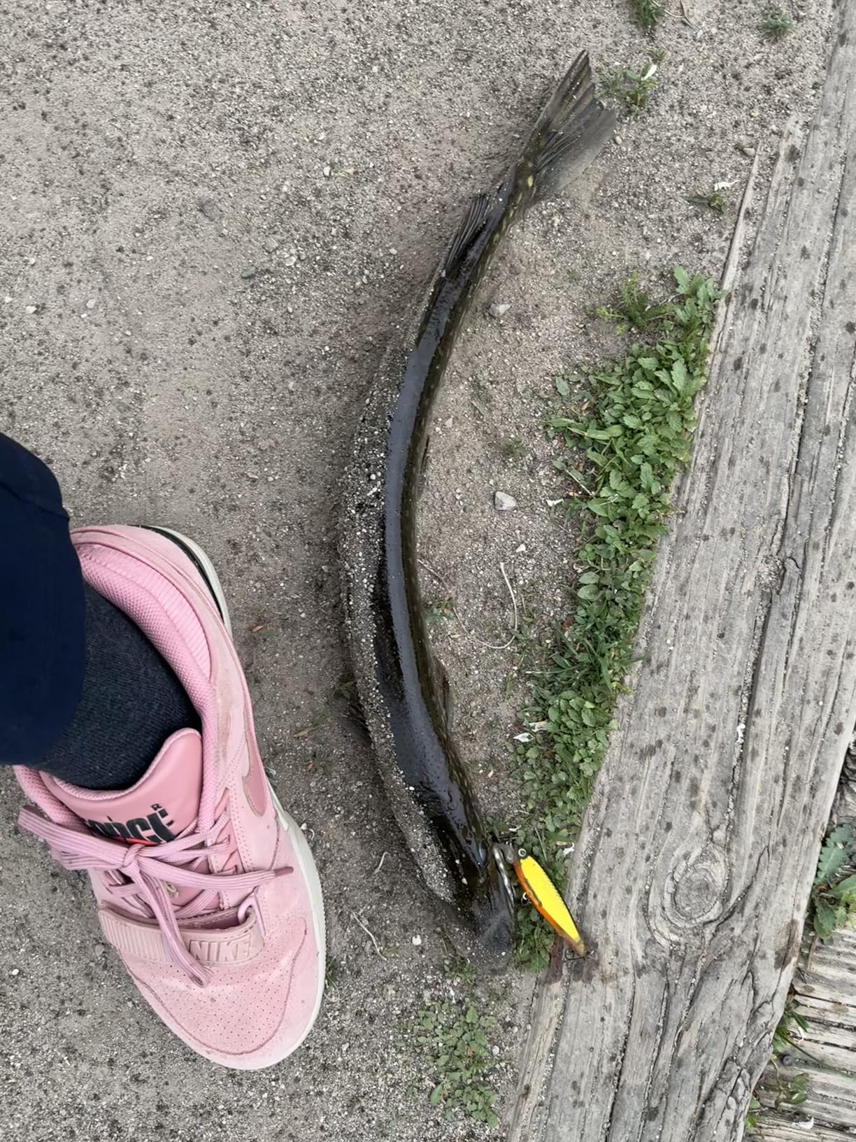 B00LDYQZPQ Customer Photo 1