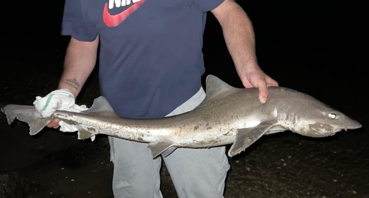 B00N09GB4W Customer Photo 1