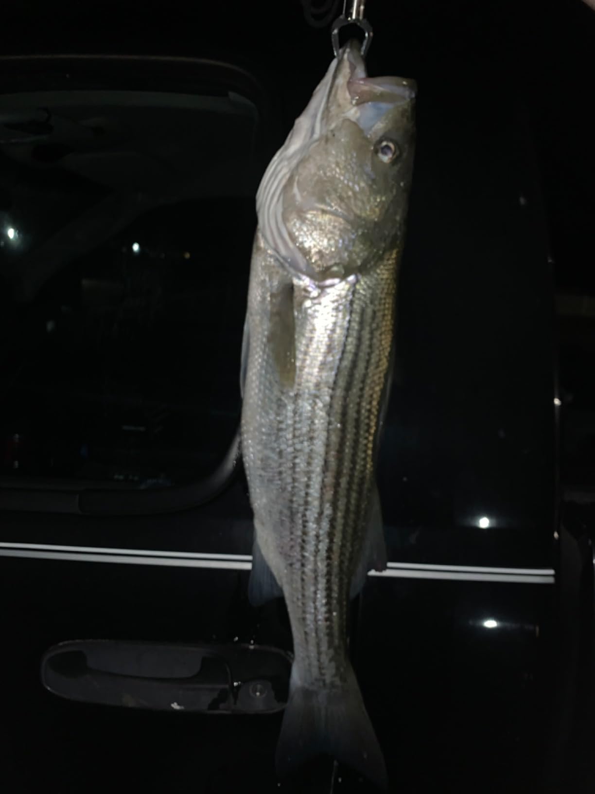 B00N09GB4W Customer Photo 2