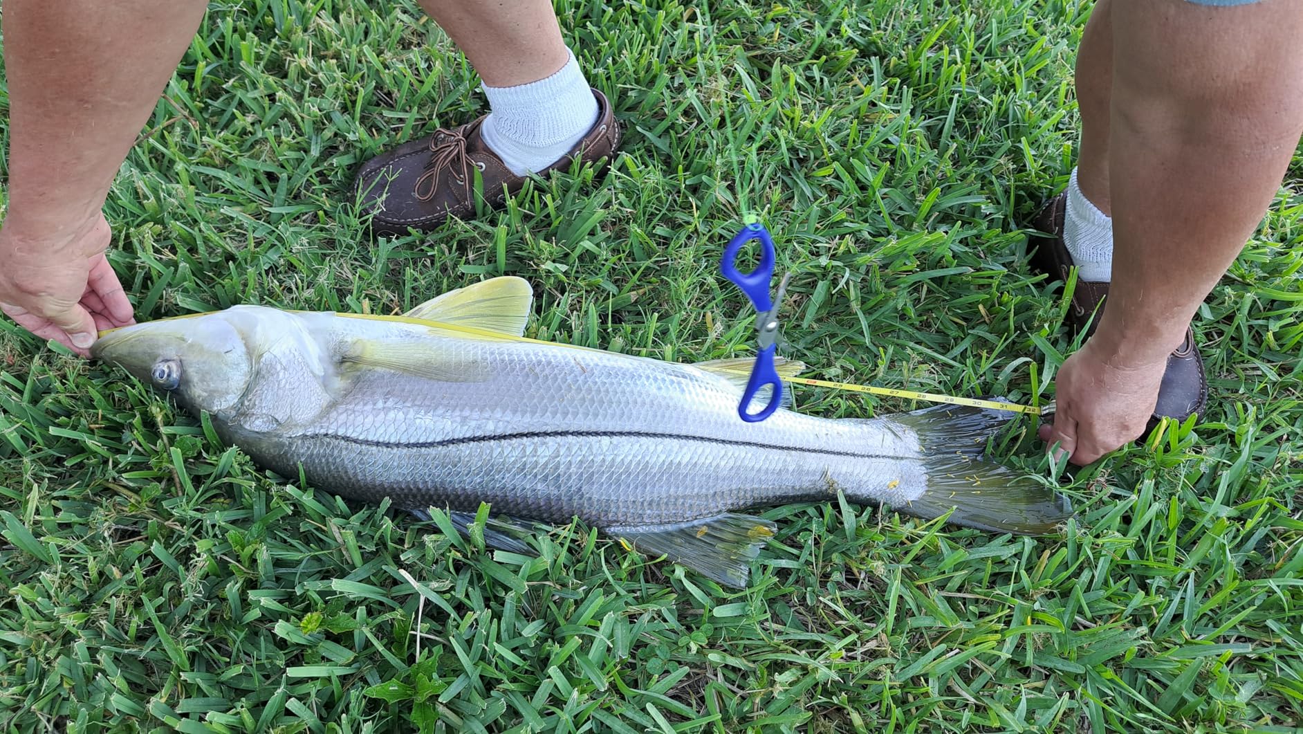 B00N4OD6U0 Customer Photo 1