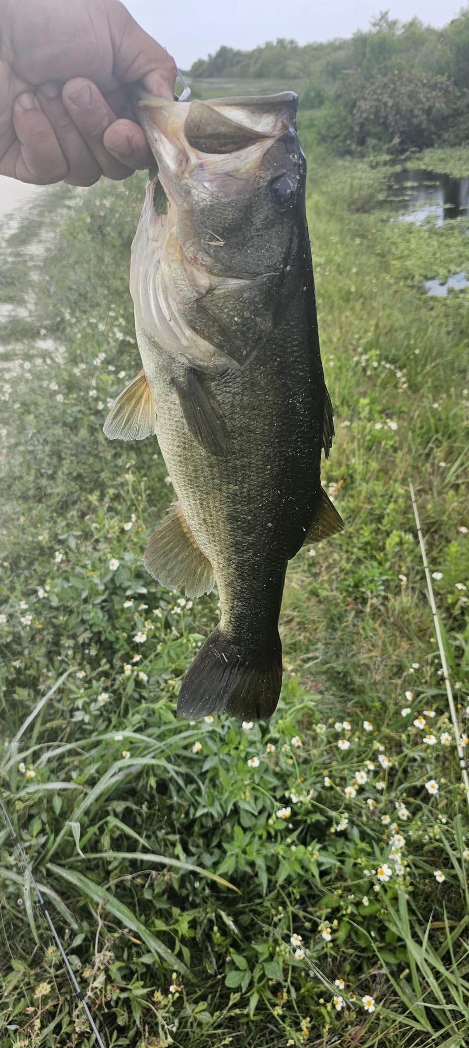 B011LV40MU Customer Photo 2