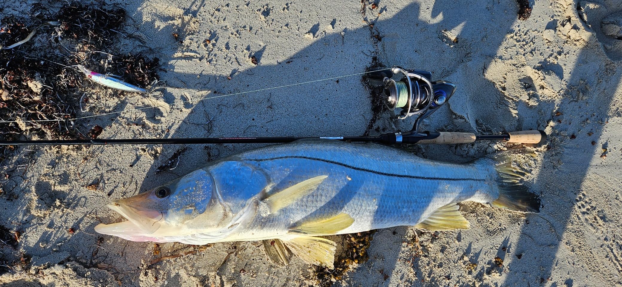 B019TW94H4 Customer Photo 2