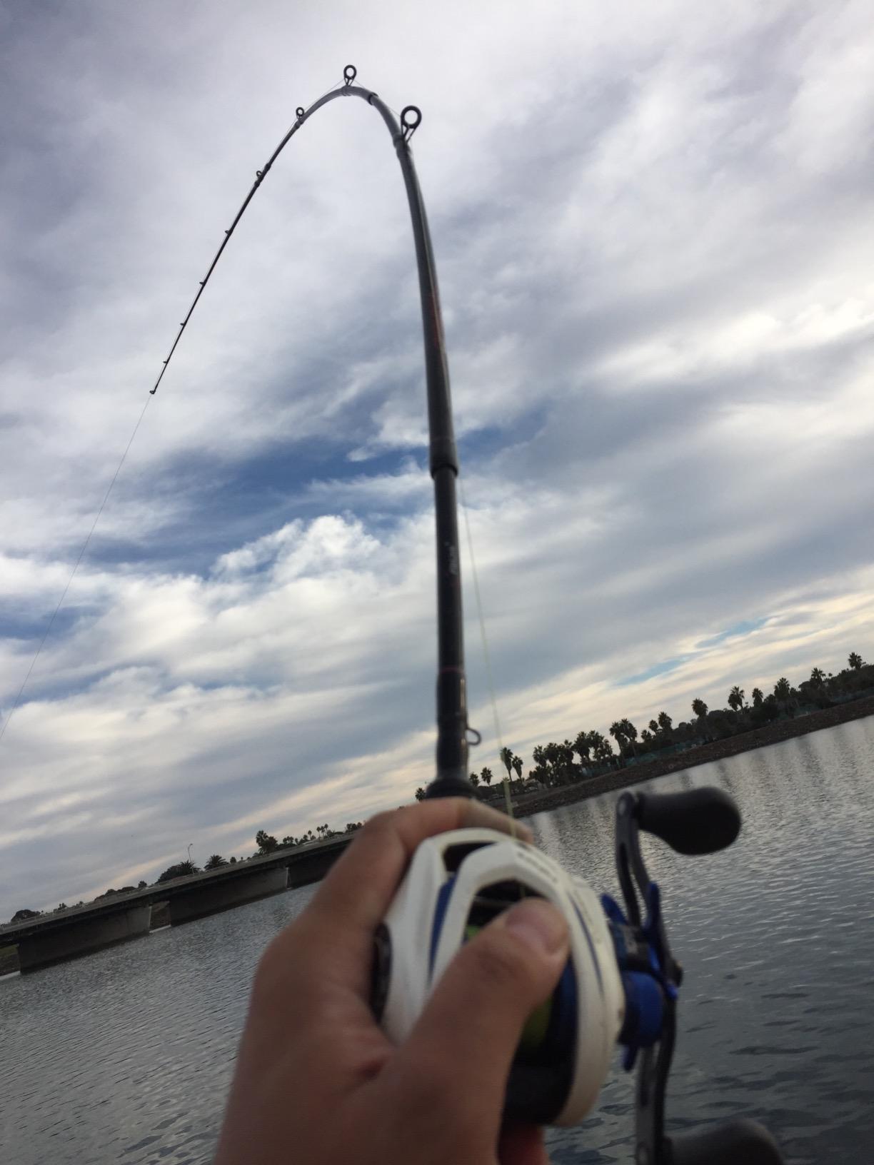 B019TWHSGS Customer Photo 2