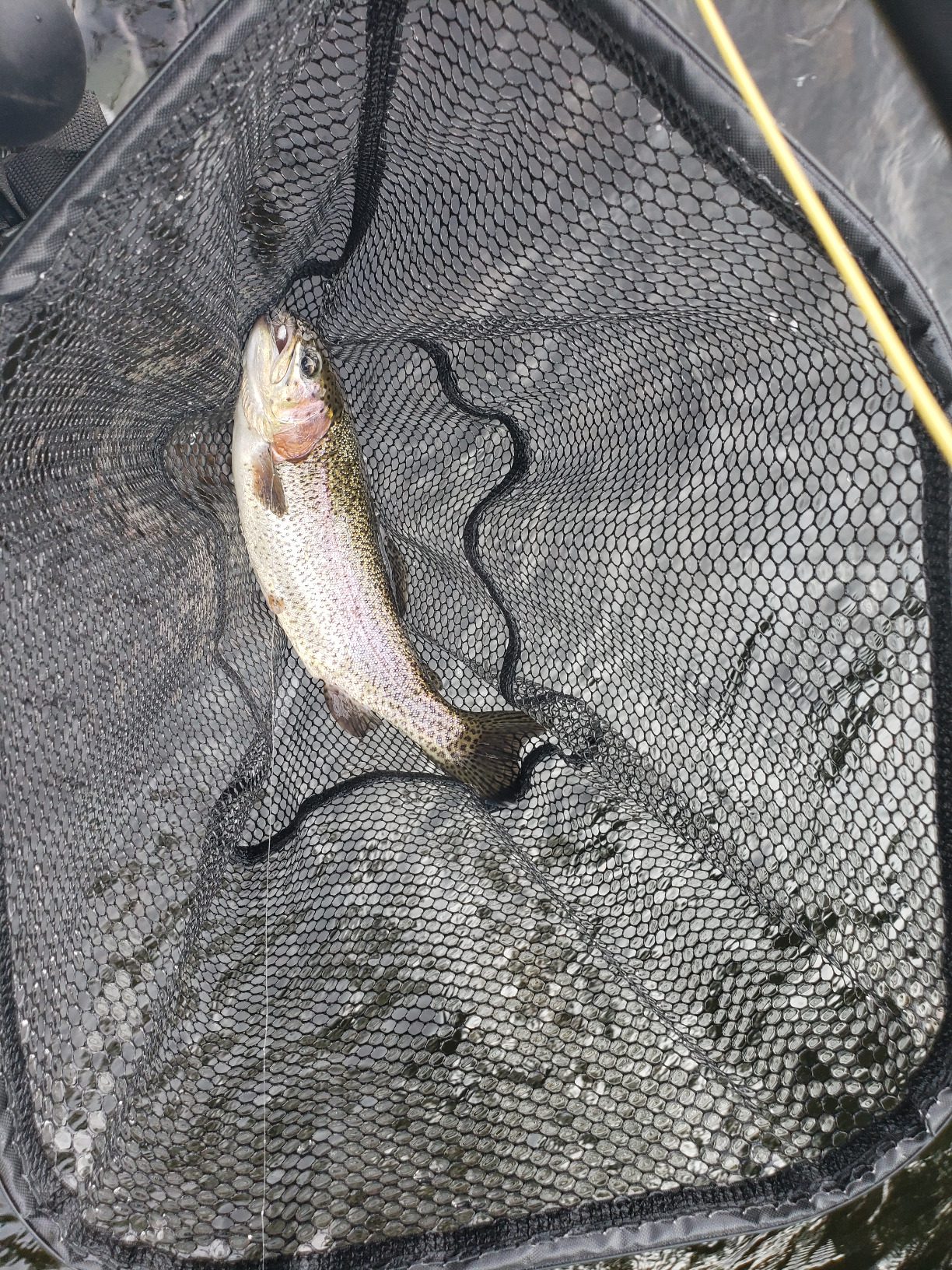 B01EM50IOG Customer Photo 2