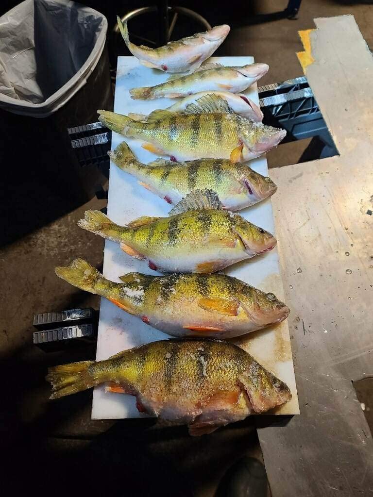 13 FISHING - Wicked - Spinning Ice Fishing Combos - Customer Photo 1