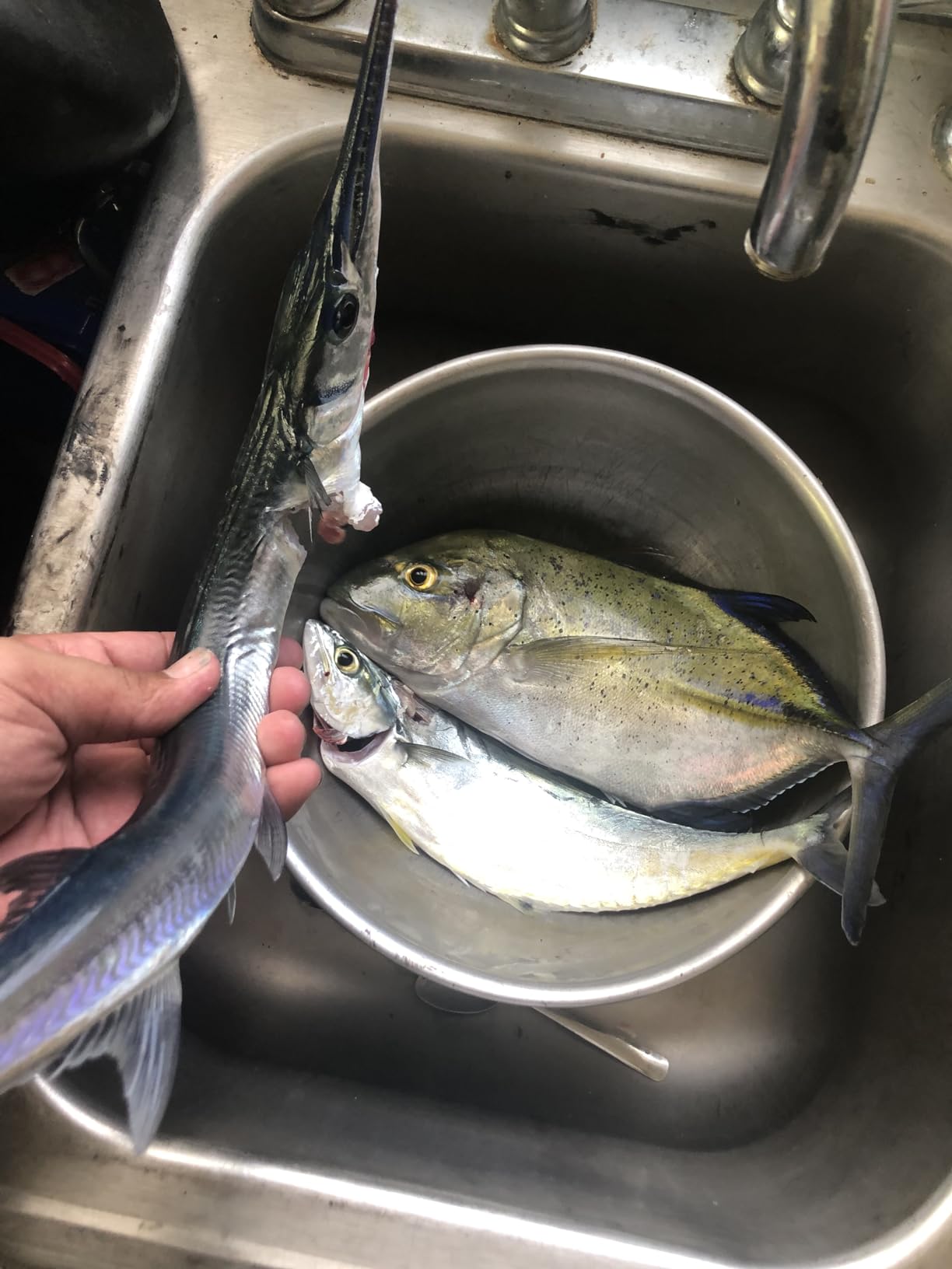 B01MXIIE91 Customer Photo 1