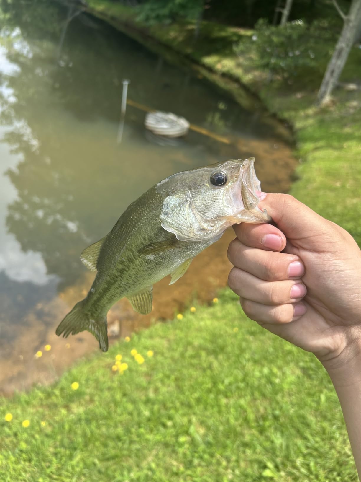 B07149KWVR Customer Photo 2