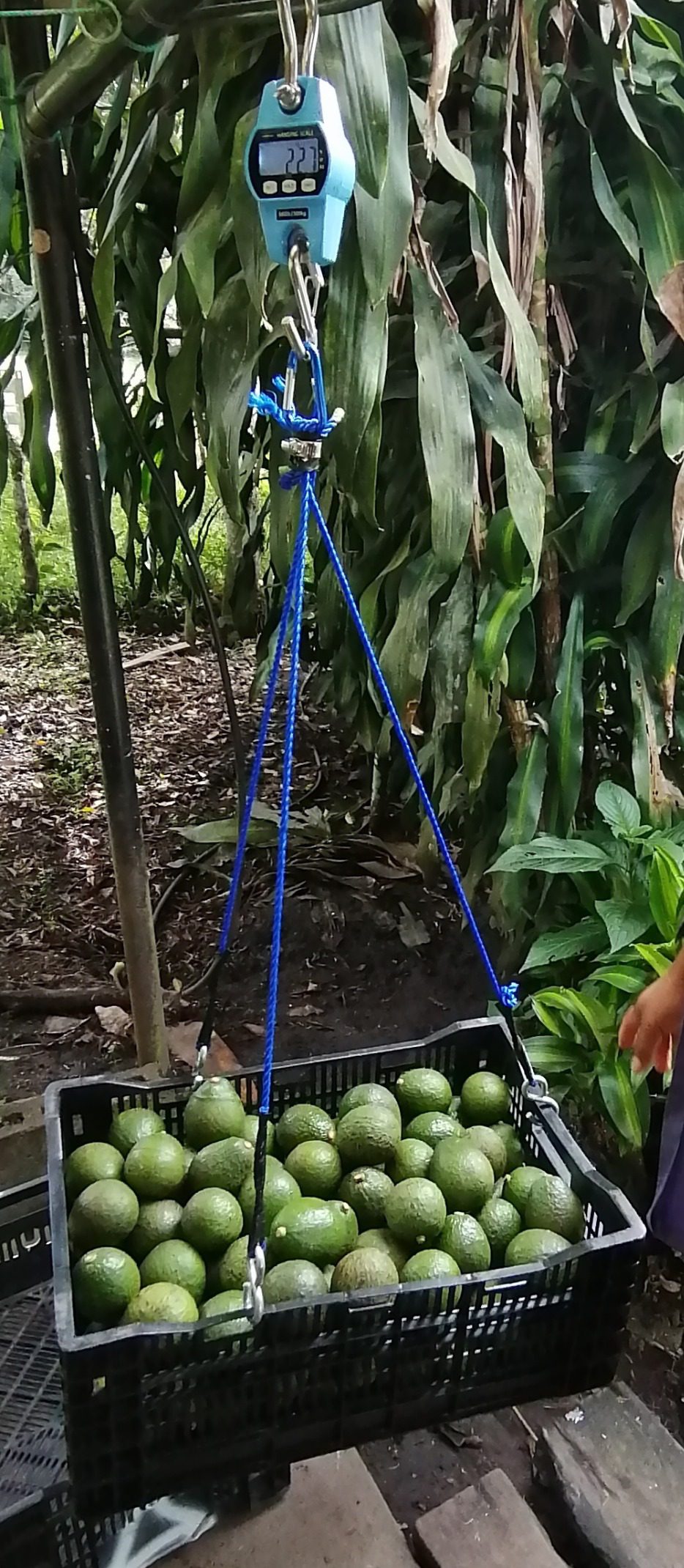 B0727NHDNQ Customer Photo 1