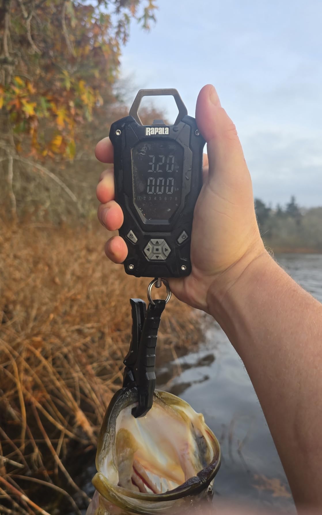 B074Q4XDF6 Customer Photo 3