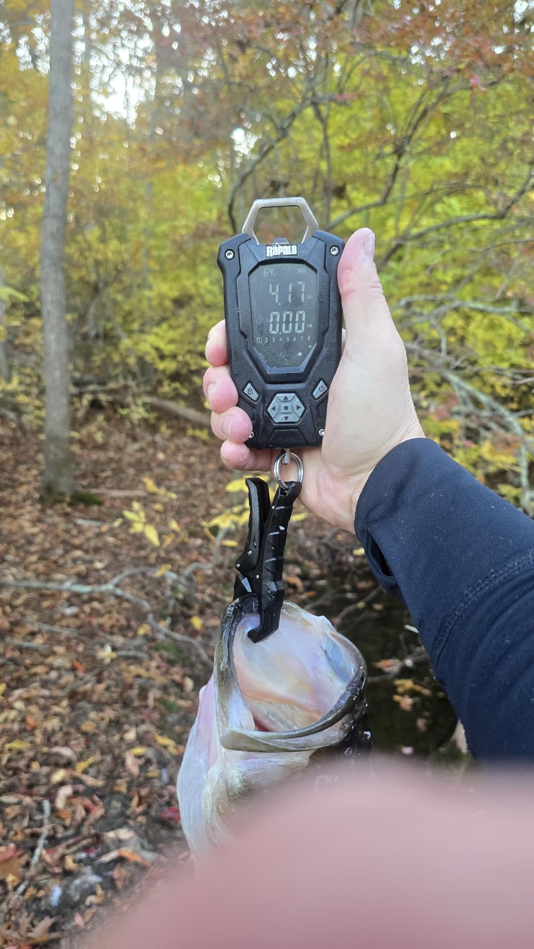 B074Q4XDF6 Customer Photo 4