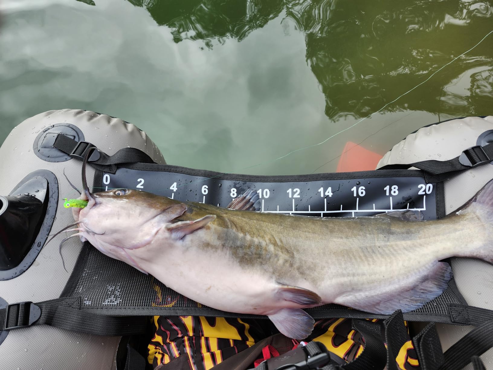 B076PKDWLQ Customer Photo 1