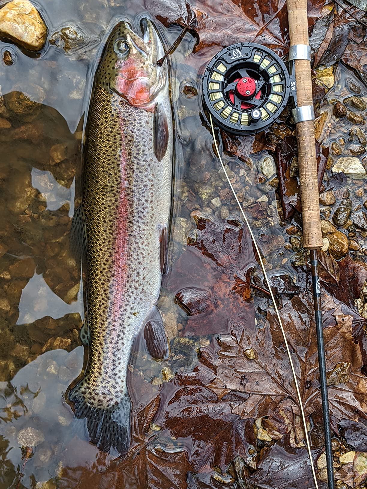 B0798B36FL Customer Photo 1