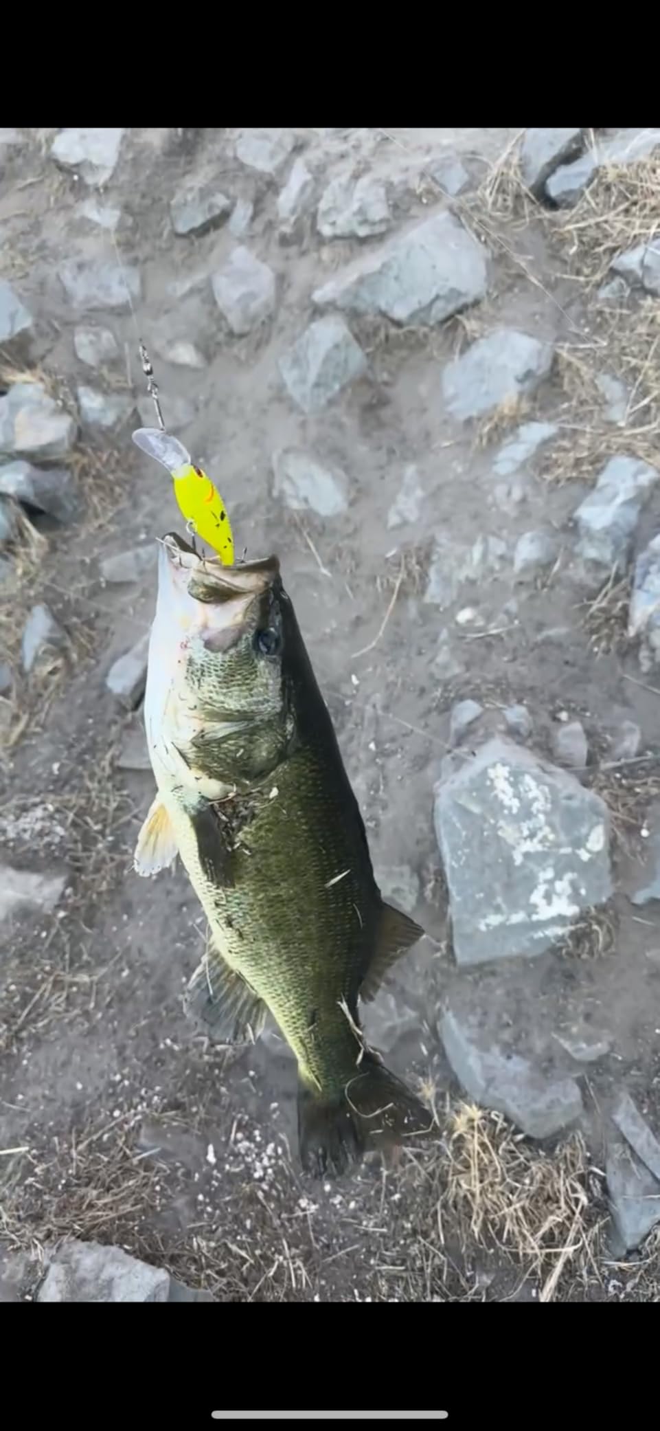 B07B7CRXNZ Customer Photo 1