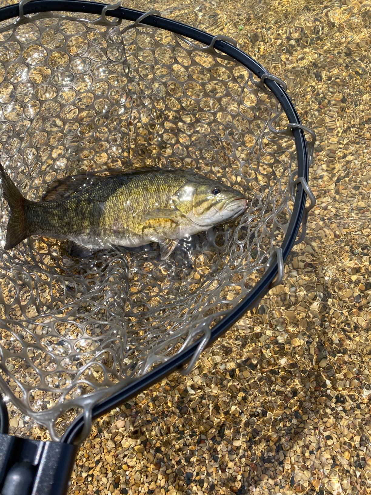 B07DHR154C Customer Photo 1